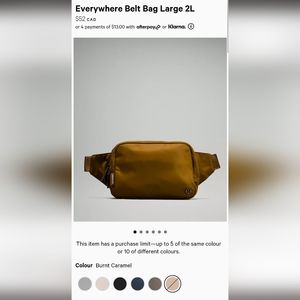 Everywhere Belt Bag Large 2L